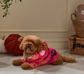 Dog Jumper - PINK