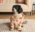Dog Jumper